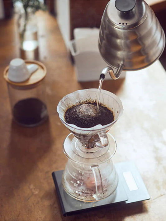 HARIO V60-02 Plastic Coffee Dripper