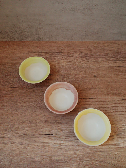 Handmade Spring Color Rice Bowl MINO Ware